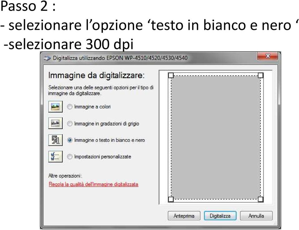 opzione testo in