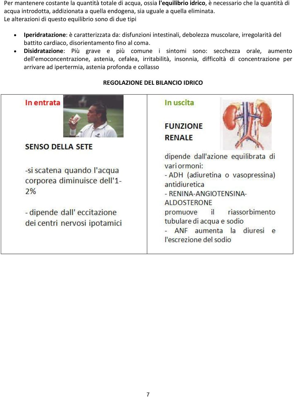 Le alterazioni di questo equilibrio sono di due tipi Iperidratazione: è caratterizzata da: disfunzioni intestinali, debolezza muscolare, irregolarità del battito