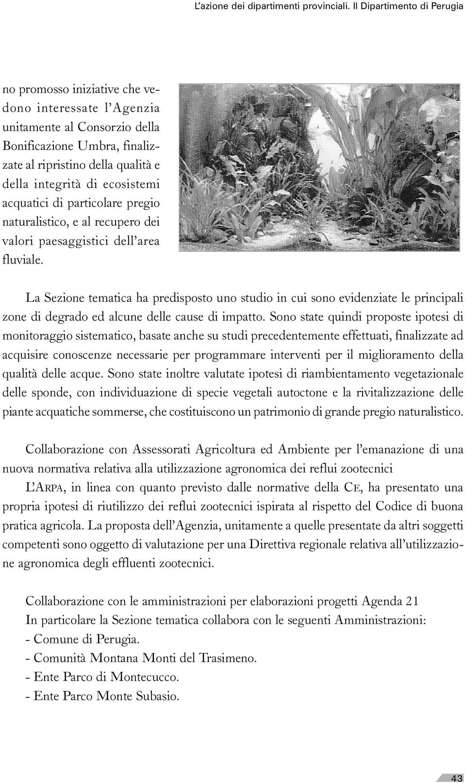 ecosistemi acquatici di particolare pregio naturalistico, e al recupero dei valori paesaggistici dell area fluviale.