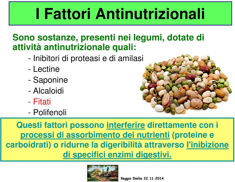 Questi fattori possono interferire direttamente con i processi di assorbimento dei nutrienti