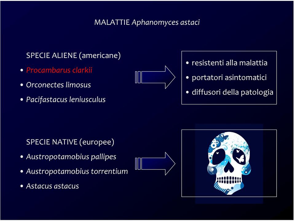 malattia portatori asintomatici diffusori della patologia SPECIE NATIVE