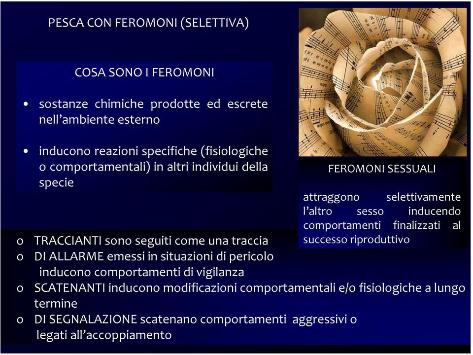 finalizzati al TRACCIANTI sono seguiti come una traccia successo riproduttivo DI ALLARME emessi in situazioni di pericolo inducono comportamenti di