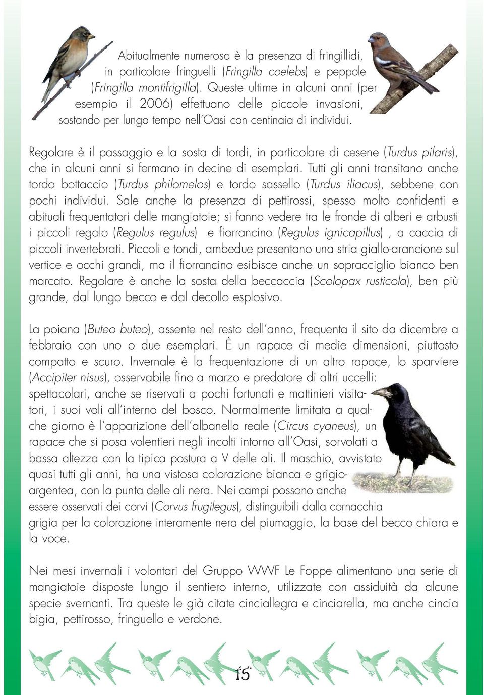 Regolare è il passaggio e la sosta di tordi, in particolare di cesene (Turdus pilaris), che in alcuni anni si fermano in decine di esemplari.