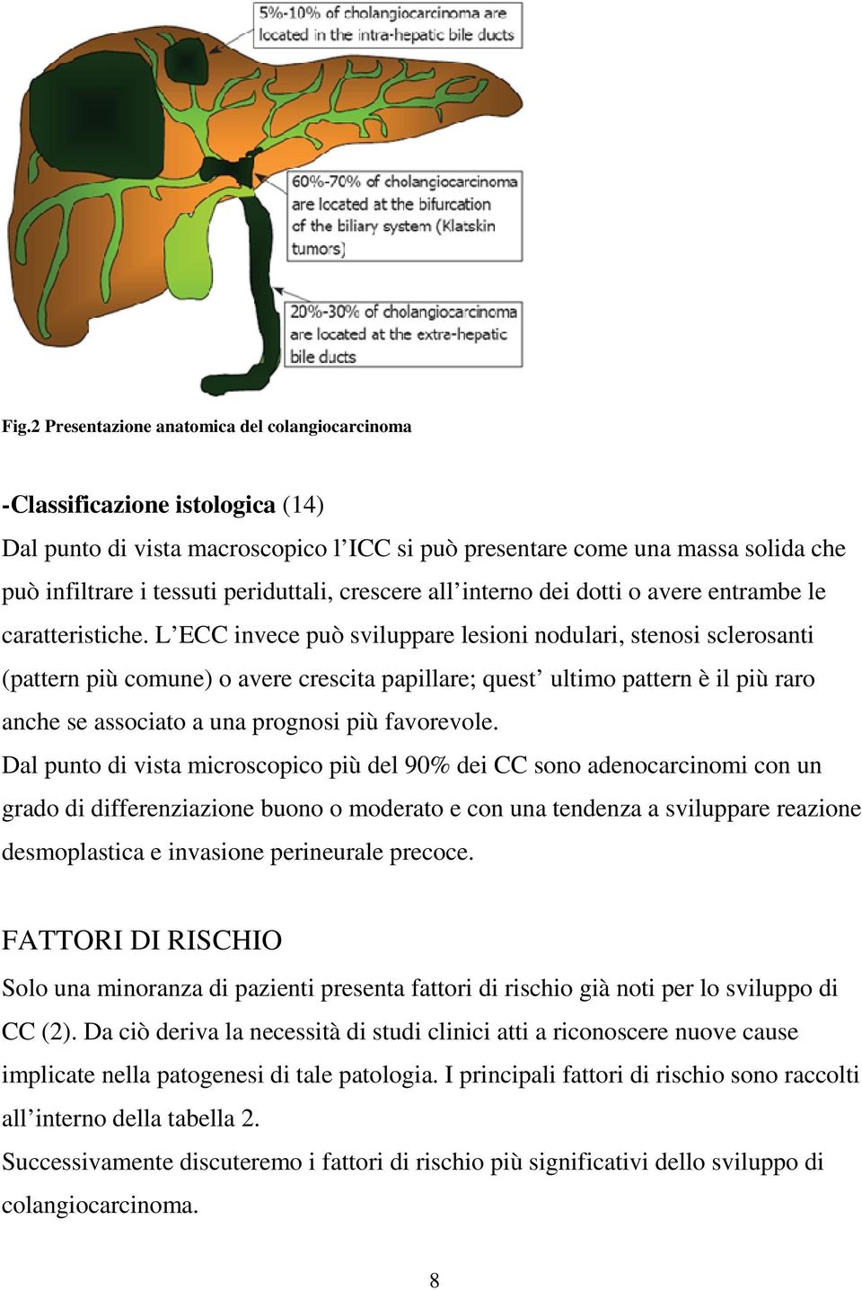 L ECC invece può sviluppare lesioni nodulari, stenosi sclerosanti (pattern più comune) o avere crescita papillare; quest ultimo pattern è il più raro anche se associato a una prognosi più favorevole.