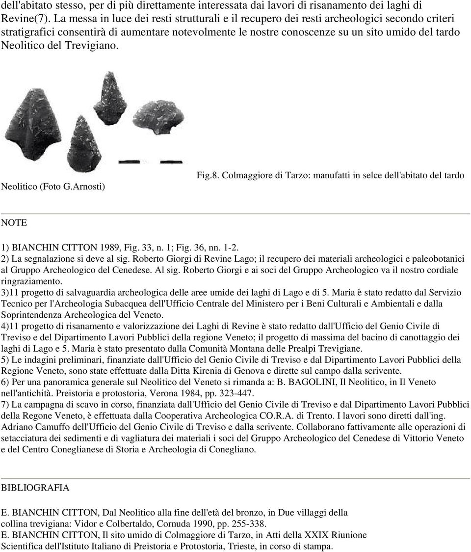 Neolitico del Trevigiano. Neolitico (Foto G.Arnosti) Fig.8. Colmaggiore di Tarzo: manufatti in selce dell'abitato del tardo NOTE 1) BIANCHIN CITTON 1989, Fig. 33, n. 1; Fig. 36, nn. 1-2.