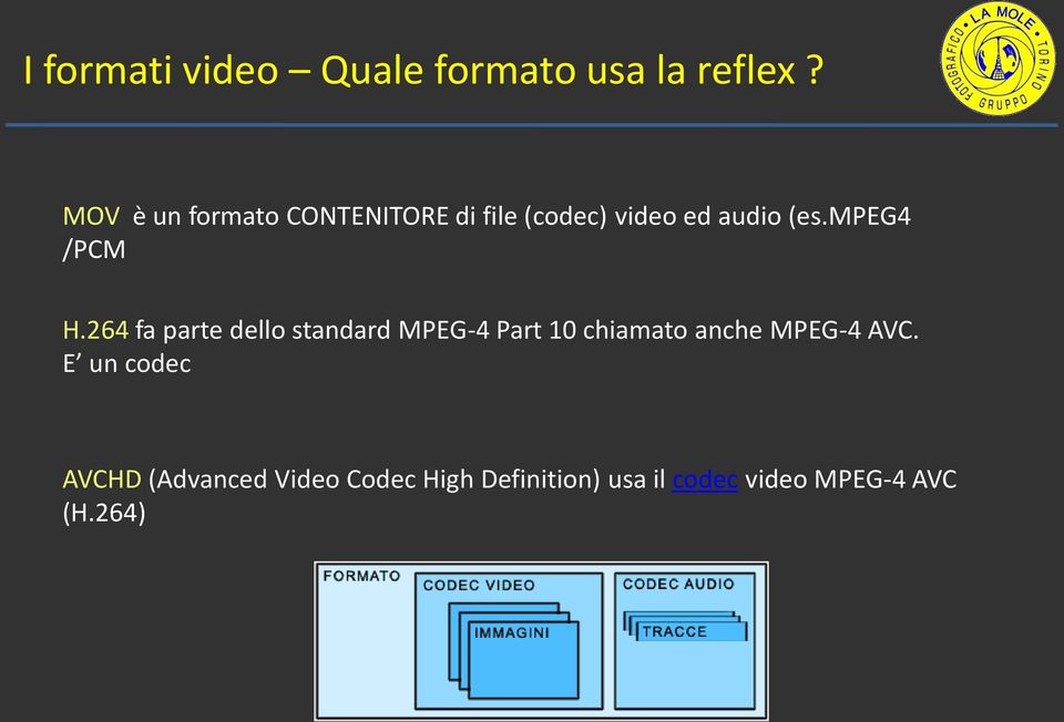 mpeg4 /PCM H.