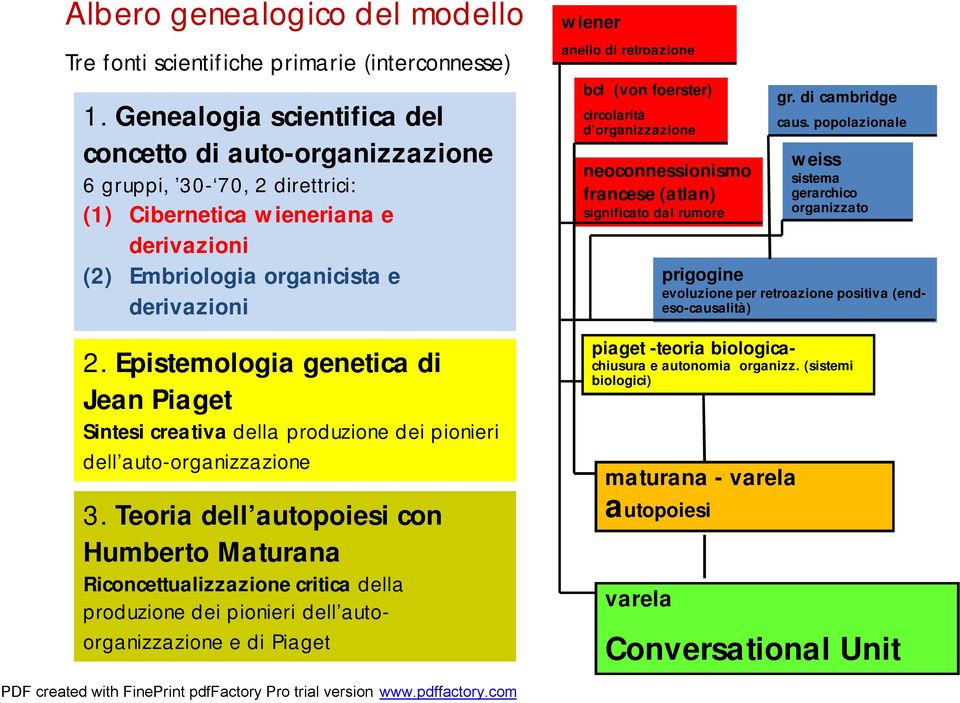 Epistemologia genetica di Jean Piaget Sintesi creativa della produzione dei pionieri dell auto-organizzazione 3.