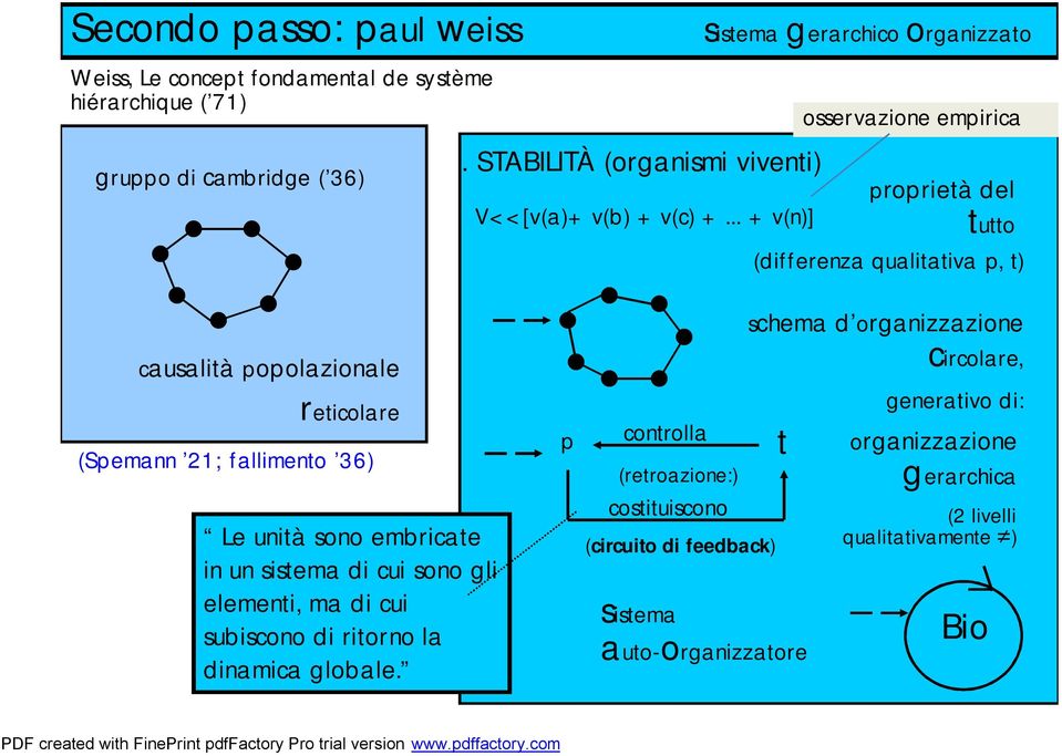 .. + v(n)] sistema gerarchico organizzato osservazione empirica proprietà del tutto (differenza qualitativa p, t) causalità popolazionale reticolare (Spemann 21;