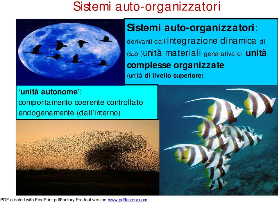 auto-organizzatori: derivanti dall integrazione dinamica di