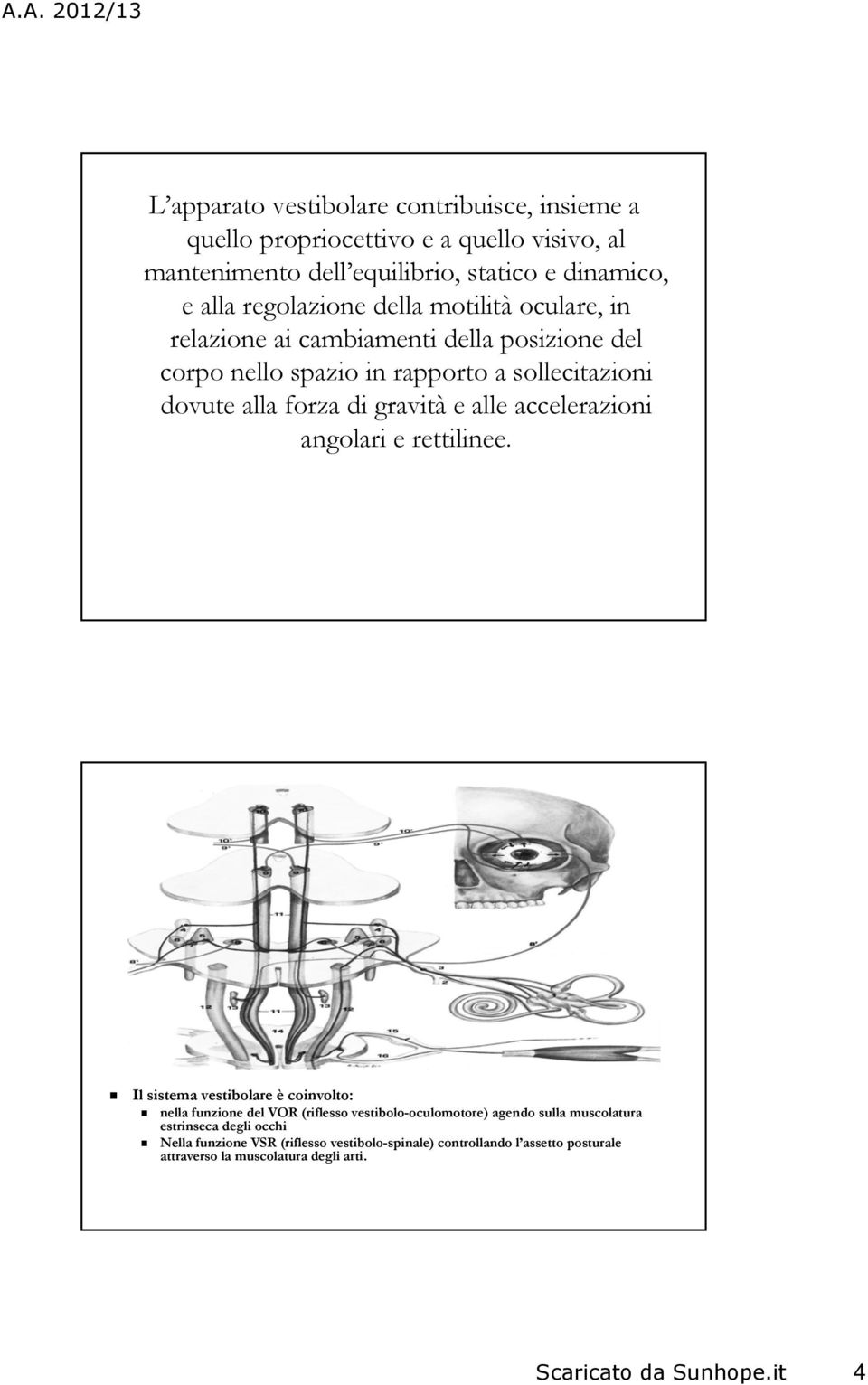 gravità e alle accelerazioni angolari e rettilinee.