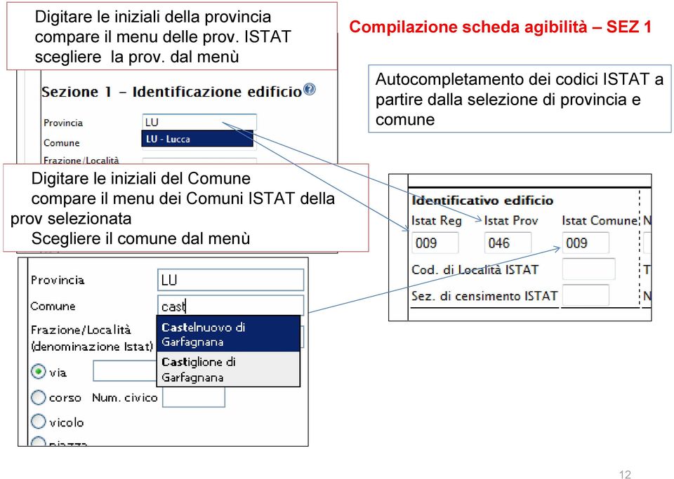 dal menù Compilazione scheda agibilità SEZ 1 Autocompletamento dei codici ISTAT a