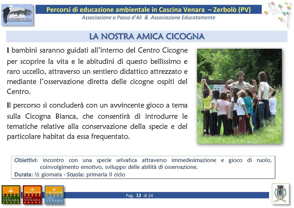 Il percorso si concluderà con un avvincente gioco a tema sulla Cicogna Bianca, che consentirà di introdurre le tematiche relative alla conservazione della specie e del