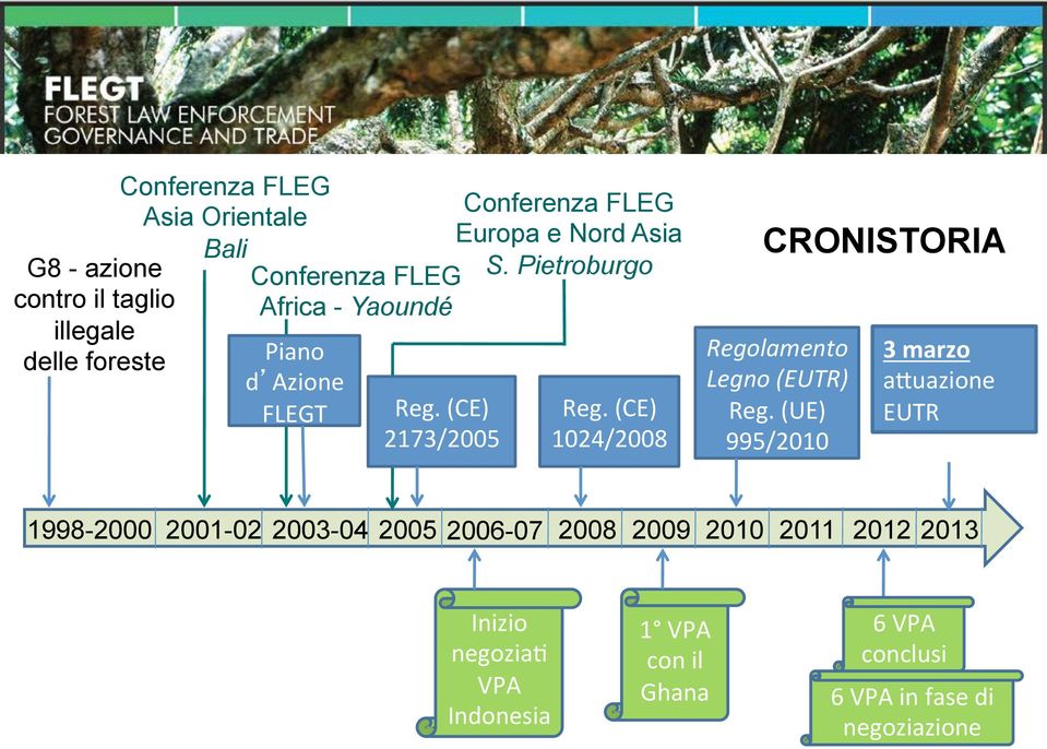 (CE) 1024/2008 CRONISTORIA Regolamento Legno (EUTR) Reg.