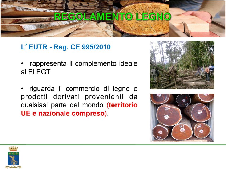 riguarda il commercio di legno e prodotti