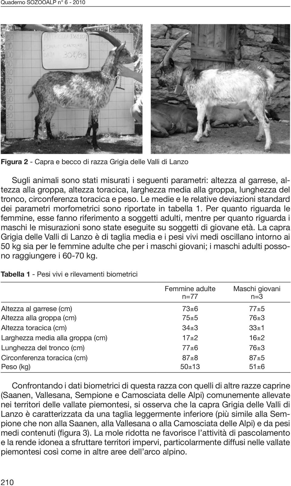 Per quanto riguarda le femmine, esse fanno riferimento a soggetti adulti, mentre per quanto riguarda i maschi le misurazioni sono state eseguite su soggetti di giovane età.