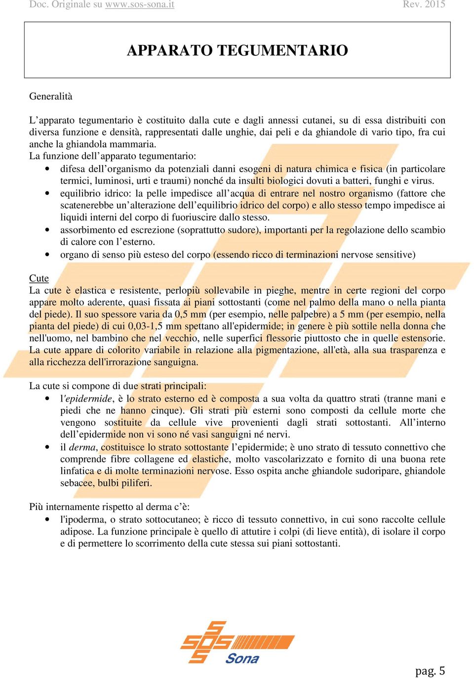 La funzione dell apparato tegumentario: difesa dell organismo da potenziali danni esogeni di natura chimica e fisica (in particolare termici, luminosi, urti e traumi) nonché da insulti biologici