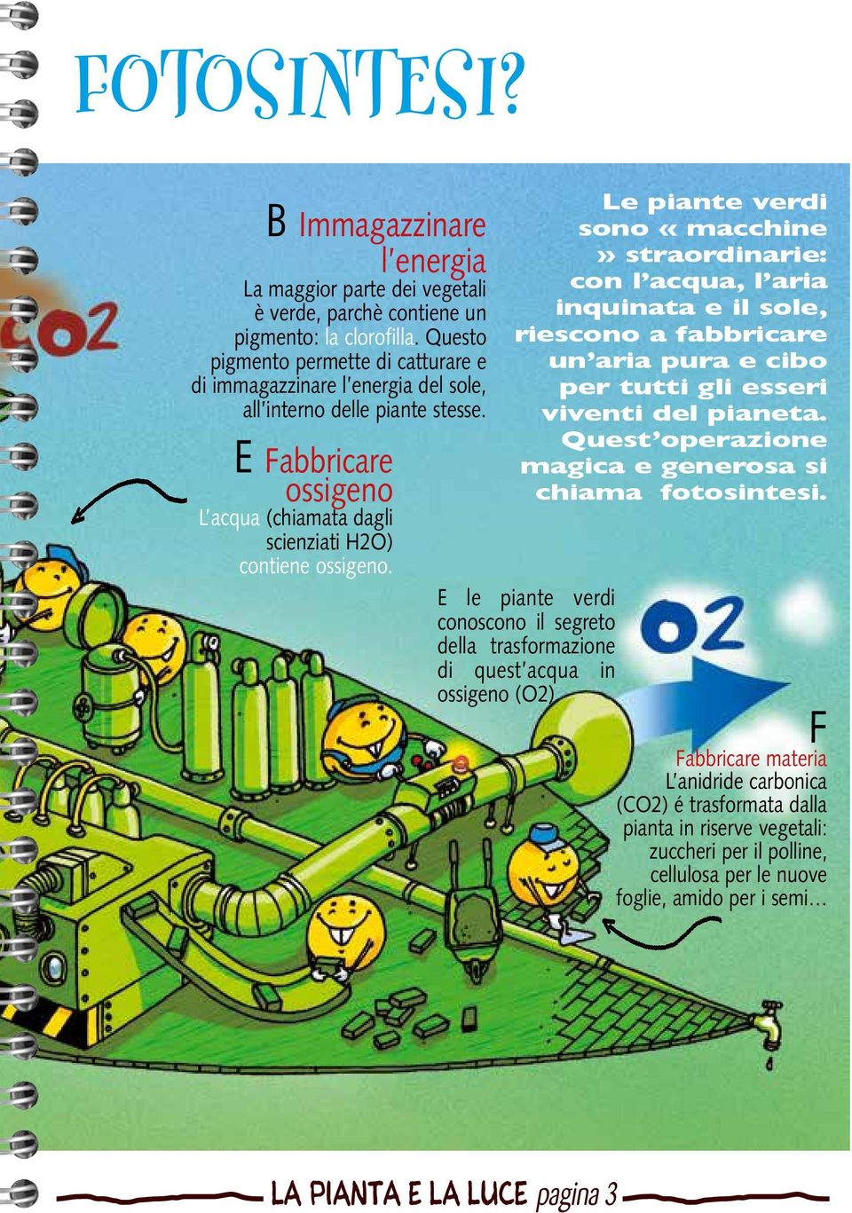 Le piante verdi sono «macchine» straordinarie: con l acqua, l aria inquinata e il sole, riescono a fabbricare un aria pura e cibo per tutti gli esseri viventi del pianeta.