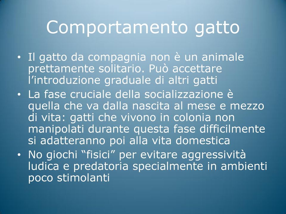 dalla nascita al mese e mezzo di vita: gatti che vivono in colonia non manipolati durante questa fase