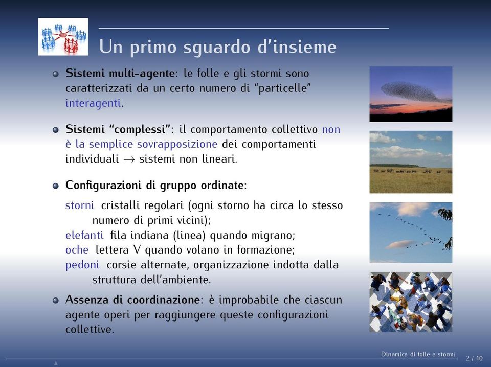 Configurazioni di gruppo ordinate: storni cristalli regolari (ogni storno ha circa lo stesso numero di primi vicini); elefanti fila indiana (linea) quando migrano; oche