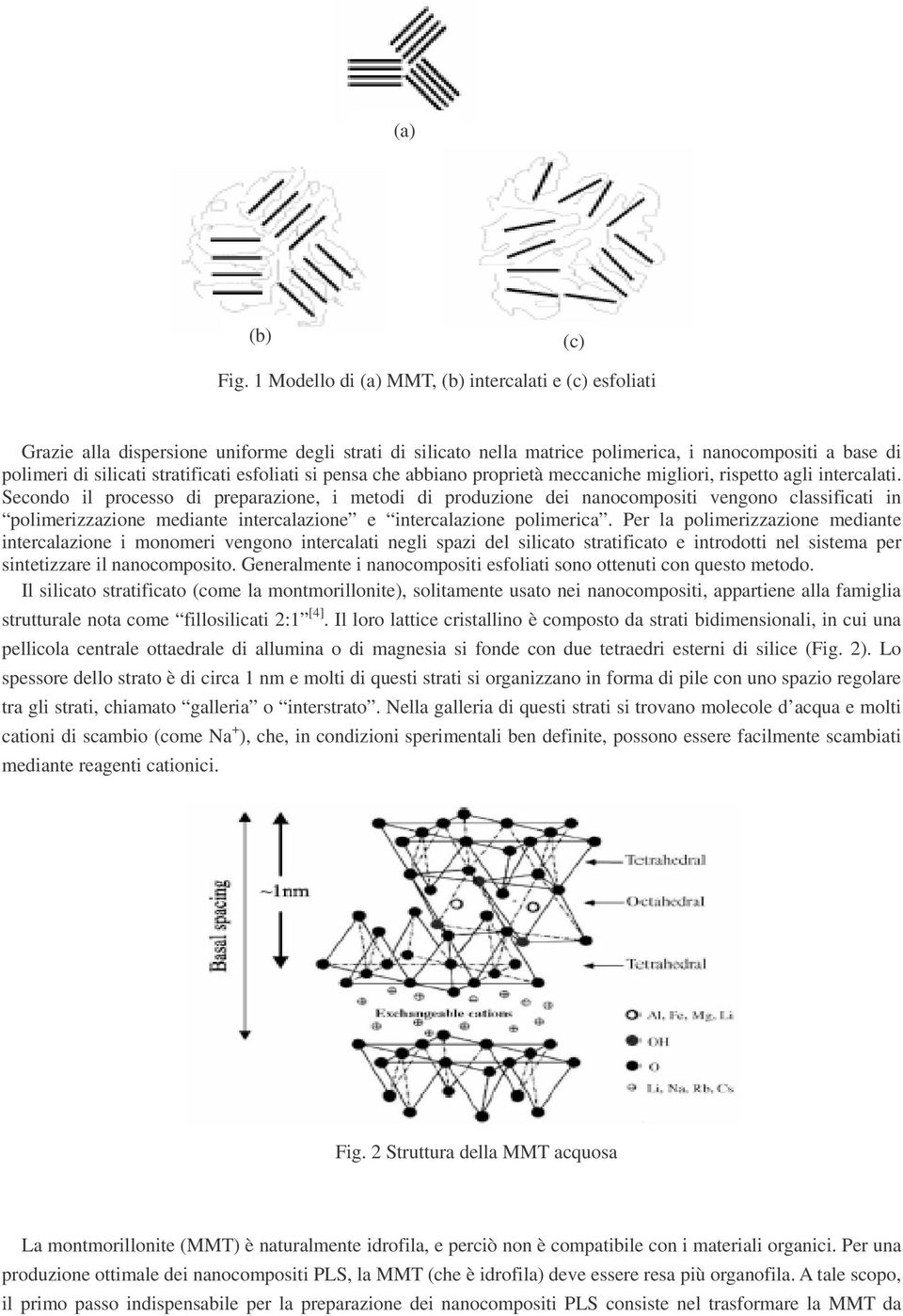 esfoliati si pensa che abbiano proprietà meccaniche migliori, rispetto agli intercalati.