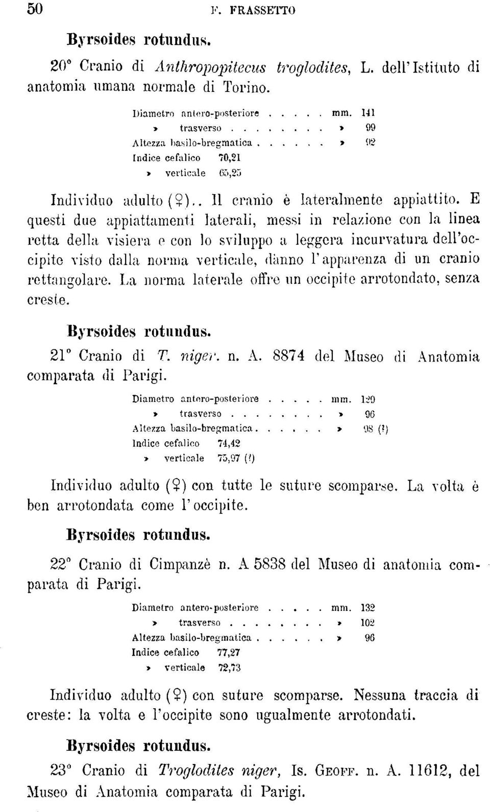 E questi due appiattamene laterali, messi in relazione con la linea retta della visiera e con lo sviluppo a leggera incurvatura dell'occipite visto dalla norma verticale, danno l'apparenza di un