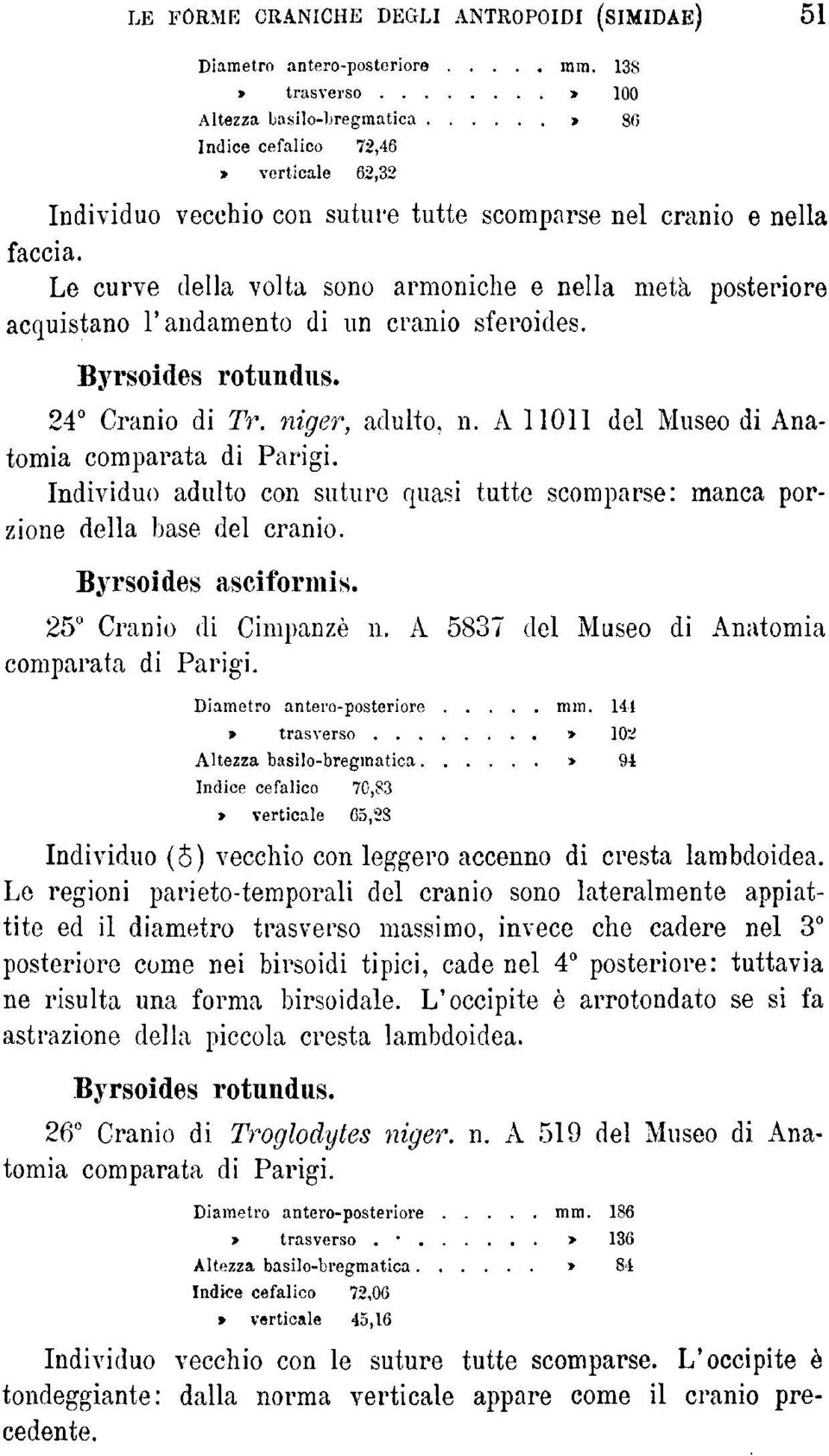 niger, adulto, n. A 11011 del Museo di Anatomia comparata di Parigi. Individuo adulto con suture quasi tutte scomparse: manca porzione della base del cranio. Byrsoides asciformis.