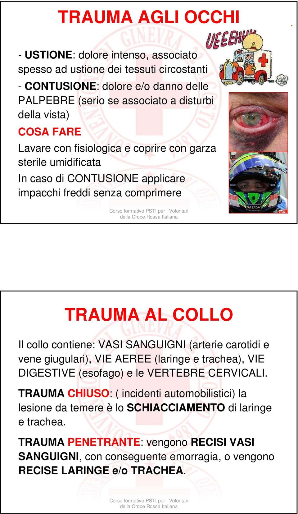 contiene: VASI SANGUIGNI (arterie carotidi e vene giugulari), VIE AEREE (laringe e trachea), VIE DIGESTIVE (esofago) e le VERTEBRE CERVICALI.