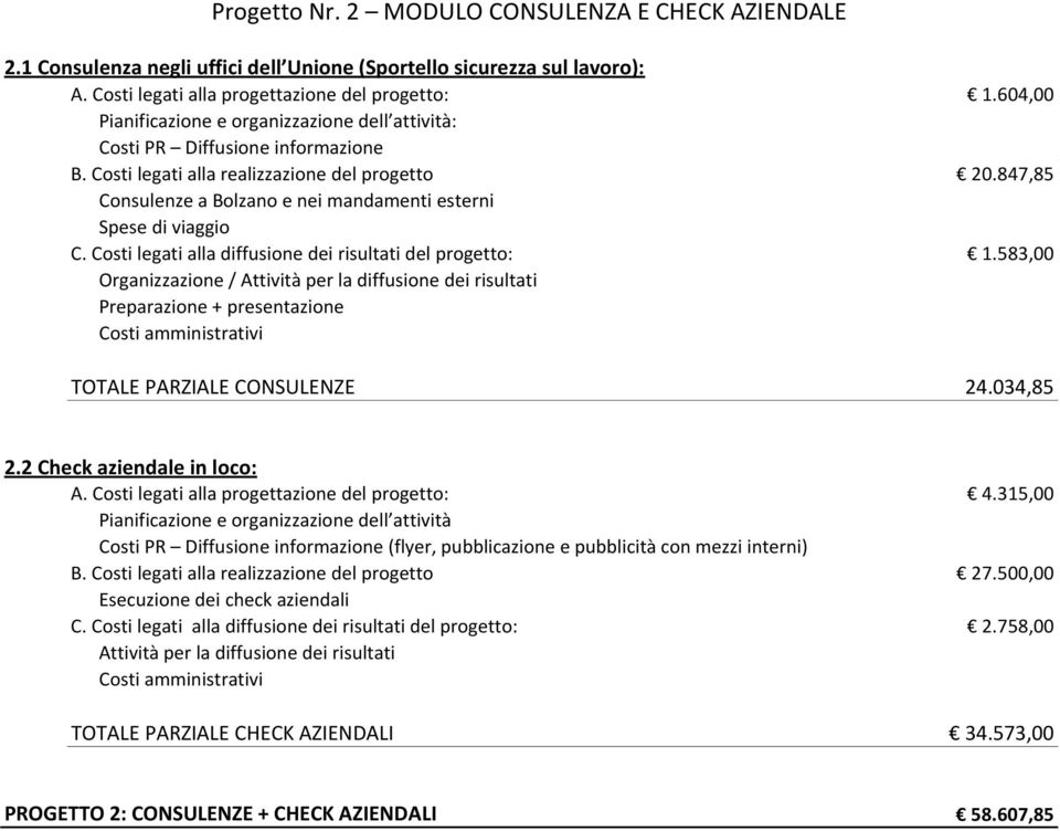 847,85 Consulenze a Bolzano e nei mandamenti esterni Spese di viaggio C. Costi legati alla diffusione dei risultati del progetto: 1.