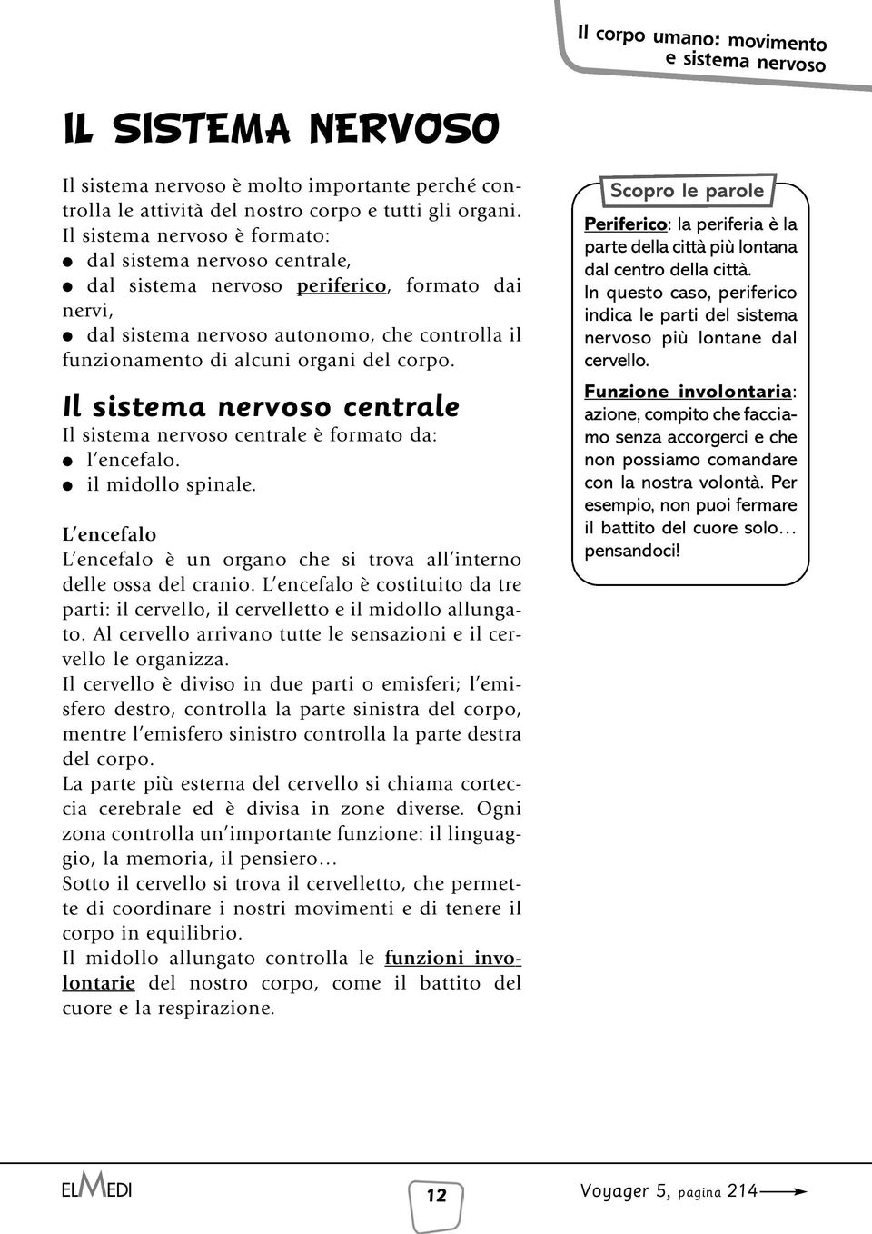 Il sistema nervoso centrale Il sistema nervoso centrale è formato da: l encefalo. il midollo spinale. L encefalo L encefalo è un organo che si trova all interno delle ossa del cranio.