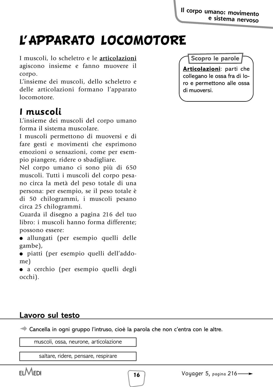 I muscoli permettono di muoversi e di fare gesti e movimenti che esprimono emozioni o sensazioni, come per esempio piangere, ridere o sbadigliare. Nel corpo umano ci sono più di 650 muscoli.