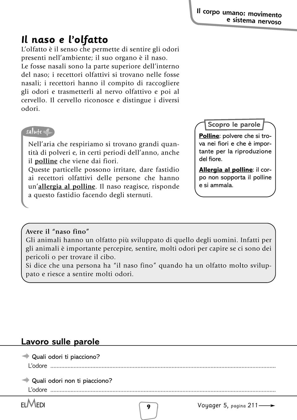 olfattivo e poi al cervello. Il cervello riconosce e distingue i diversi odori.