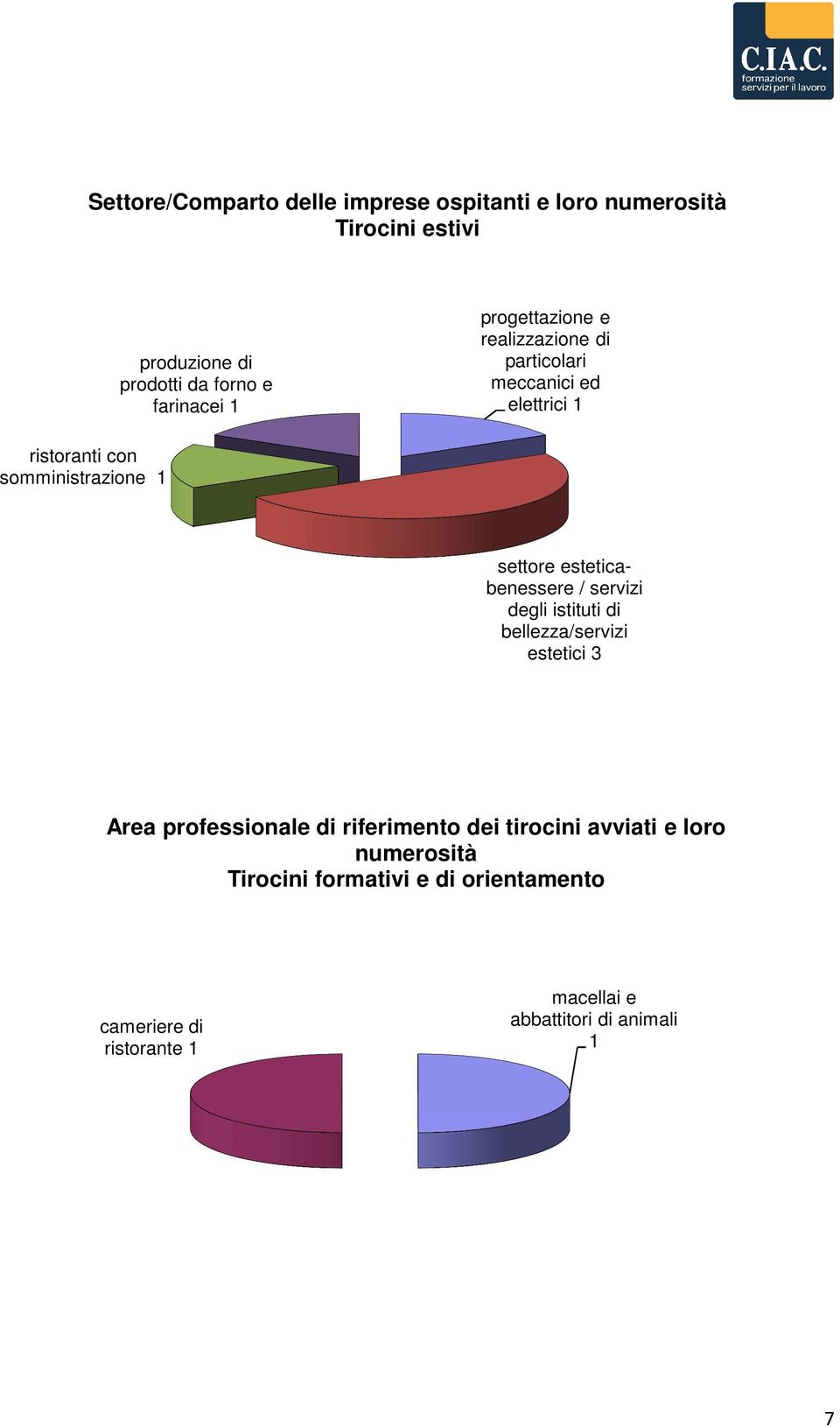 esteticabenessere / servizi degli istituti di bellezza/servizi estetici 3 Area professionale di riferimento dei