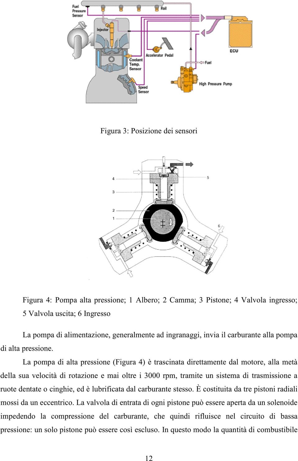 La pompa di alta pressione (Figura 4) è trascinata direttamente dal motore, alla metà della sua velocità di rotazione e mai oltre i 3000 rpm, tramite un sistema di trasmissione a ruote dentate o