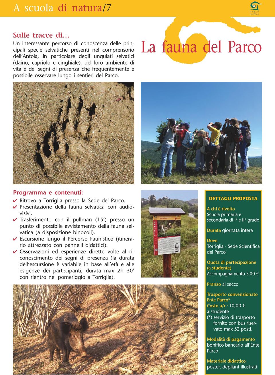 La fauna del Parco Programma e contenuti: Ritrovo a Torriglia presso la Sede del Parco. Presentazione della fauna selvatica con audiovisivi.