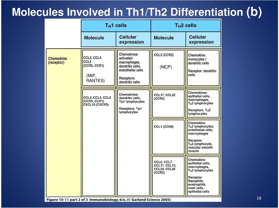 Th1/Th2