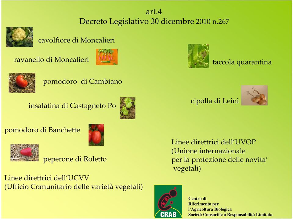 cipolla di Leinì pomodoro di Banchette peperone di Roletto Linee direttrici dell UCVV (Ufficio