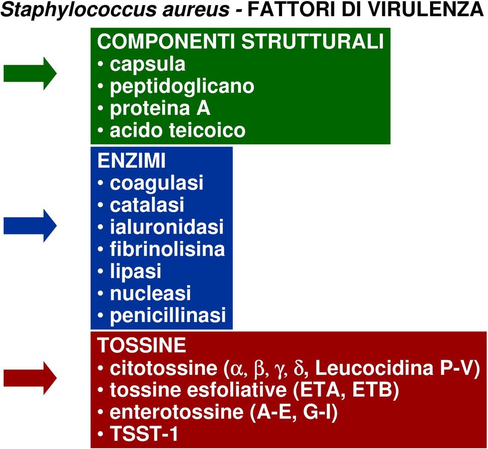 ialuronidasi fibrinolisina lipasi nucleasi penicillinasi TOSSINE citotossine