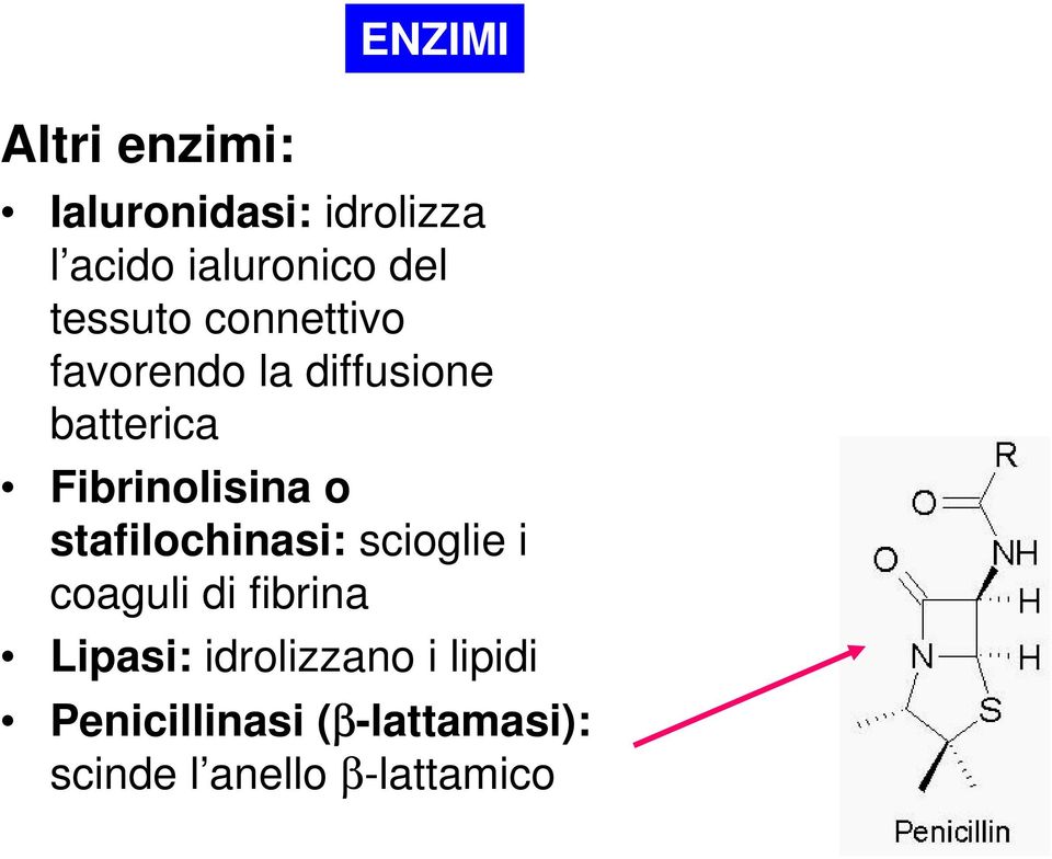 Fibrinolisina o stafilochinasi: scioglie i coaguli di fibrina