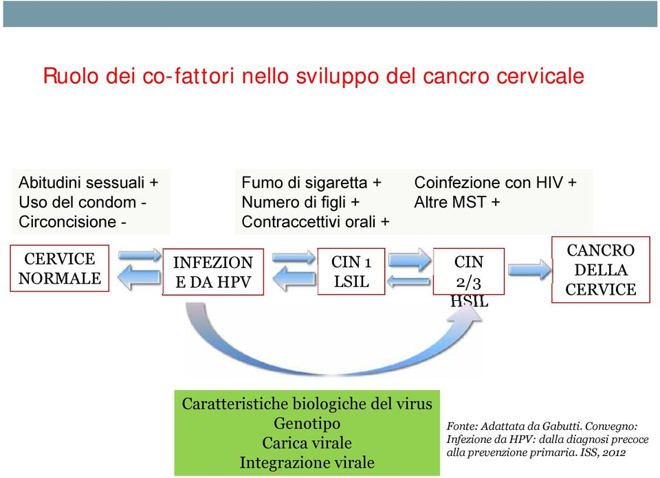 Altre MST + CIN 2/3 HSIL CANCRO DELLA CERVICE Caratteristiche biologiche del virus Genotipo Carica virale Integrazione