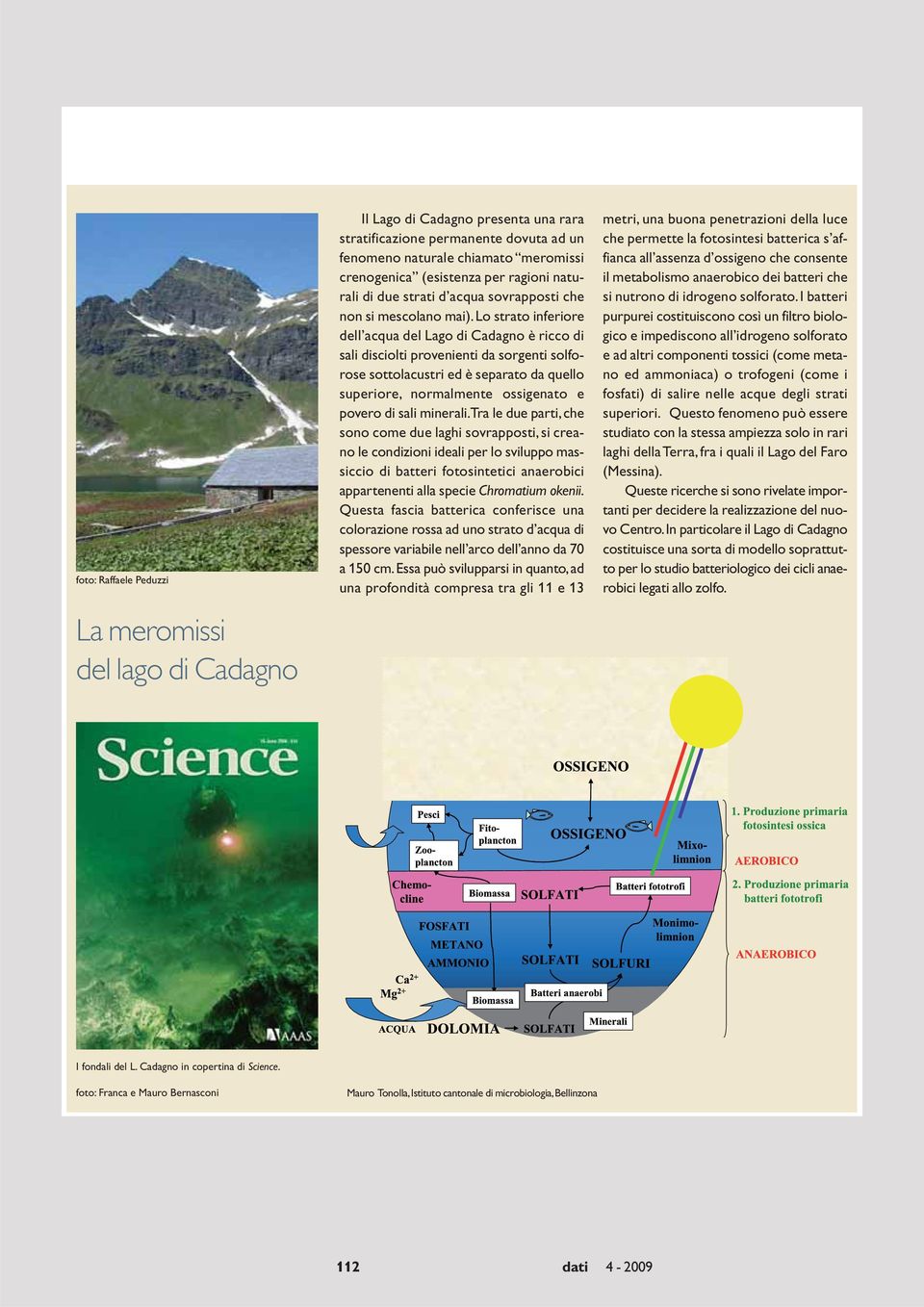 Lo strato inferiore dell acqua del Lago di Cadagno è ricco di sali disciolti provenienti da sorgenti solforose sottolacustri ed è separato da quello superiore, normalmente ossigenato e povero di sali