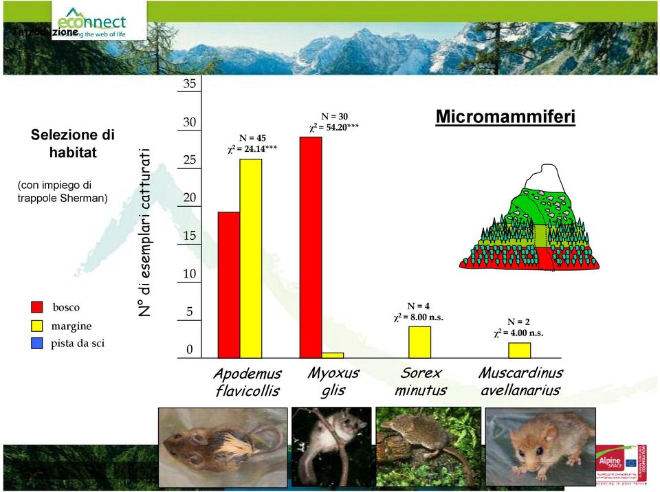24.14*** N = 30 2 = 54.20*** N = 4 2 = 8.00 n.s. Micromammiferi N = 2 2 = 4.