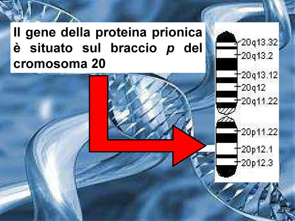 è situato sul