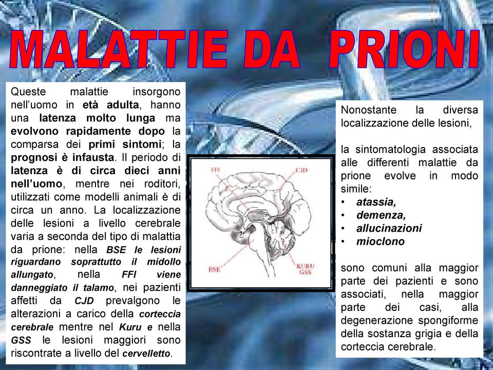 La localizzazione delle lesioni a livello cerebrale varia a seconda del tipo di malattia da prione: nella BSE le lesioni riguardano soprattutto il midollo allungato, nella FFI viene danneggiato il