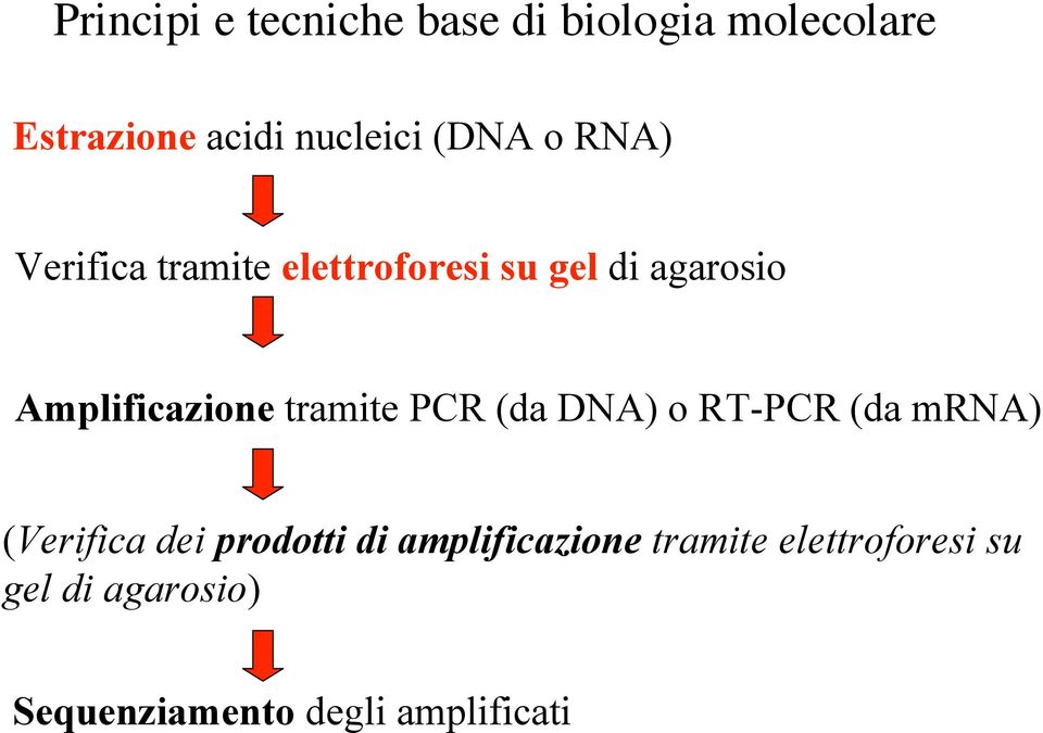 tramite PCR (da DNA) o RT-PCR (da mrna) (Verifica dei prodotti di