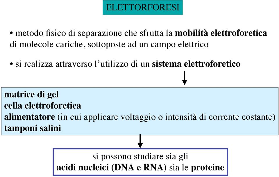 elettroforetico matrice di gel cella elettroforetica alimentatore (in cui applicare voltaggio o
