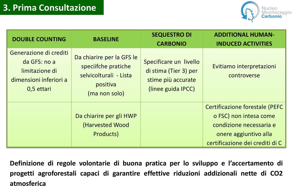 guida IPCC) ADDITIONAL HUMAN- INDUCED ACTIVITIES Evitiamo interpretazioni controverse Certificazione forestale (PEFC o FSC) non intesa come condizione necessaria e onere aggiuntivo alla