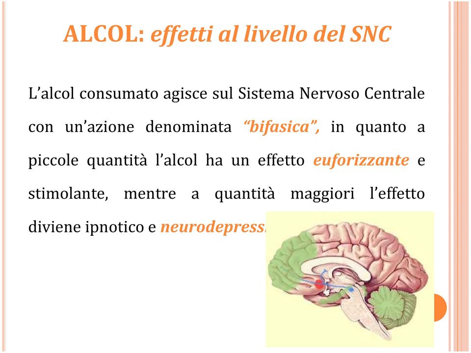 quanto a piccole quantità l alcol ha un effetto euforizzante e