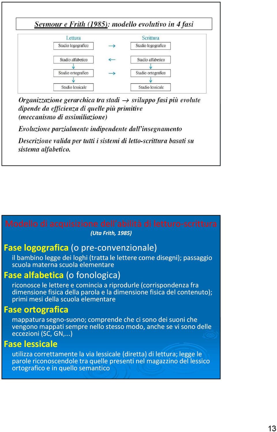 primi mesi della scuola elementare Fase ortografica mappatura segno-suono; suono; comprende che ci sono dei suoni che vengono mappati sempre nello stesso modo, anche se vi sono delle eccezioni