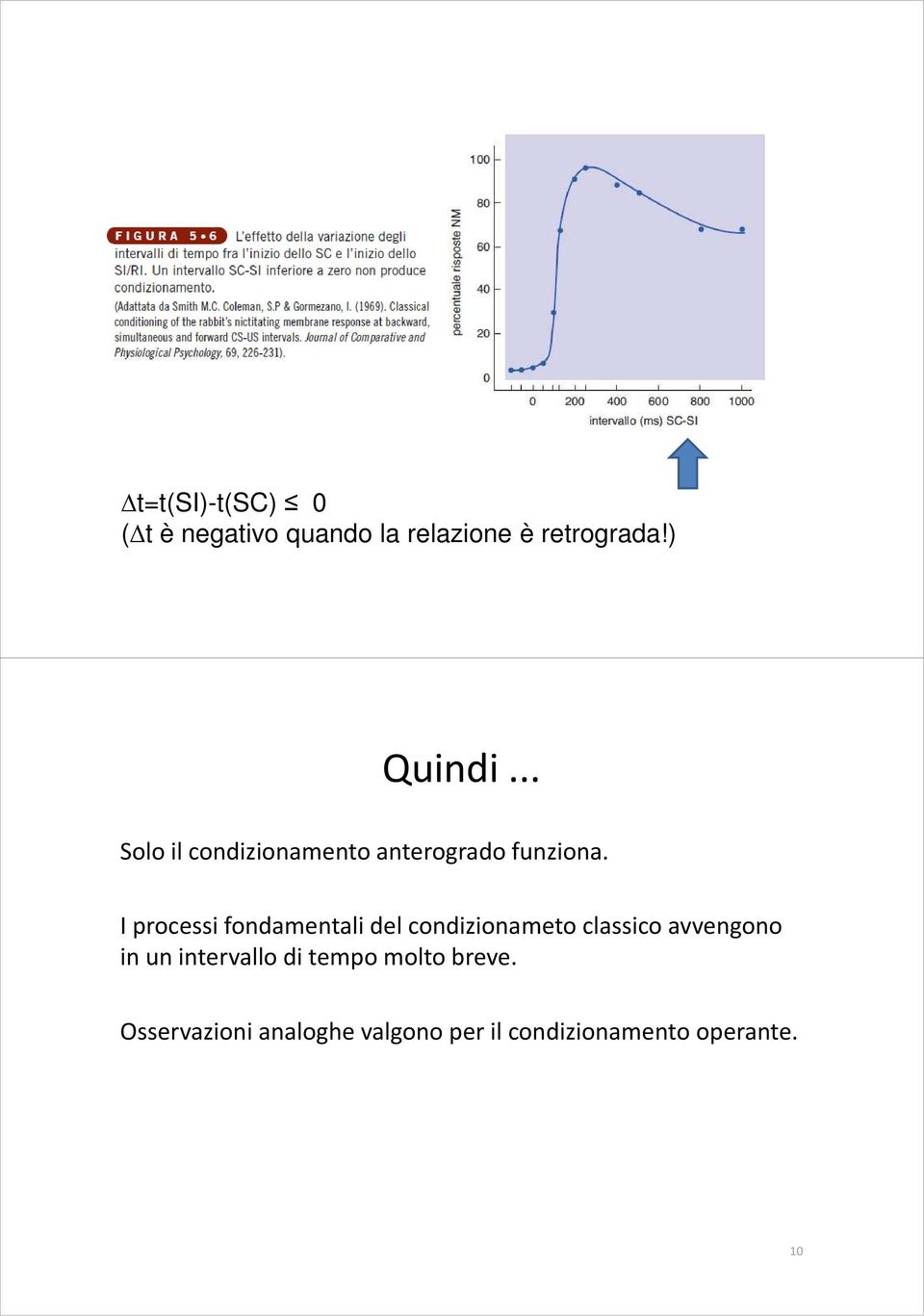 I processi fondamentali del condizionameto classico avvengono in un