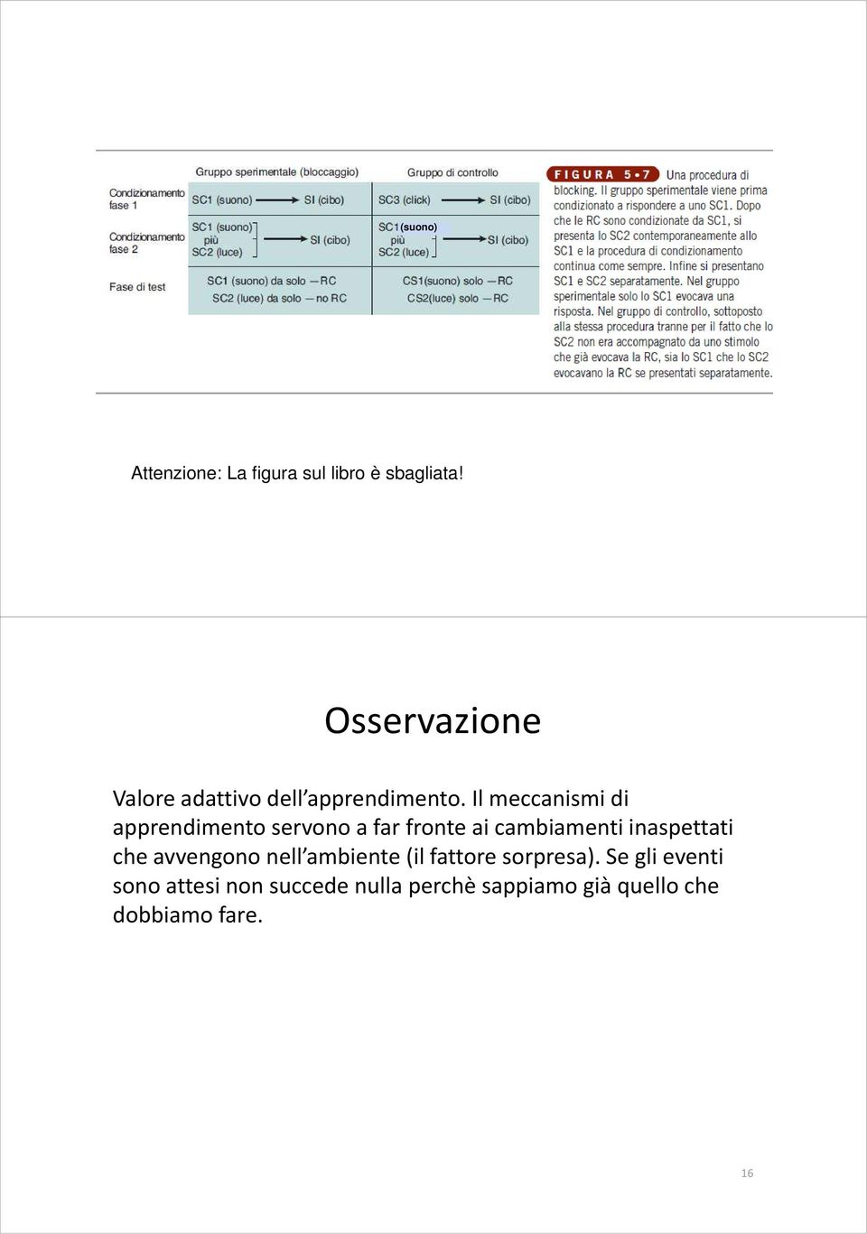 Il meccanismi di apprendimento servono a far fronte ai cambiamenti inaspettati